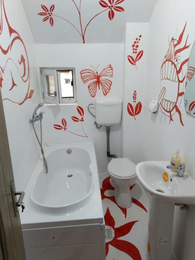 Casa Milos Si Fiul 바일레헤르쿨라네 외부 사진